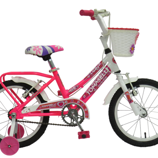 Bicicleta Tomaselli Lady R-14