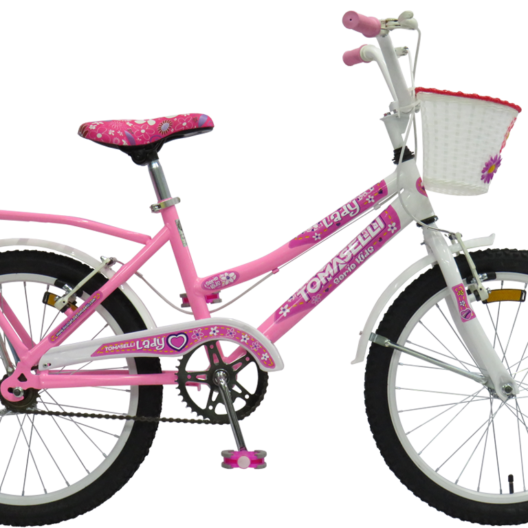 Bicicleta Tomaselli Lady R-20